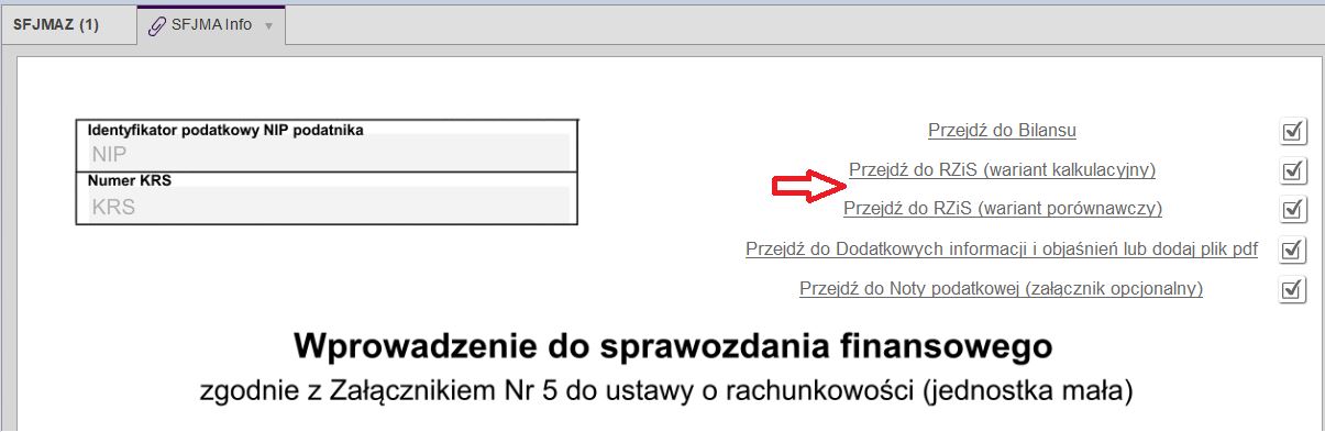 e-Sprawozdanie Finansowe dla jednostek małych w złotych